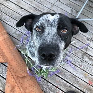 Meet your Posher, Shawna